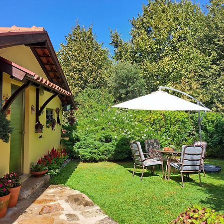 Quinta De Carcavelos Agroturismo E Enoturismo Celorico De Basto Esterno foto