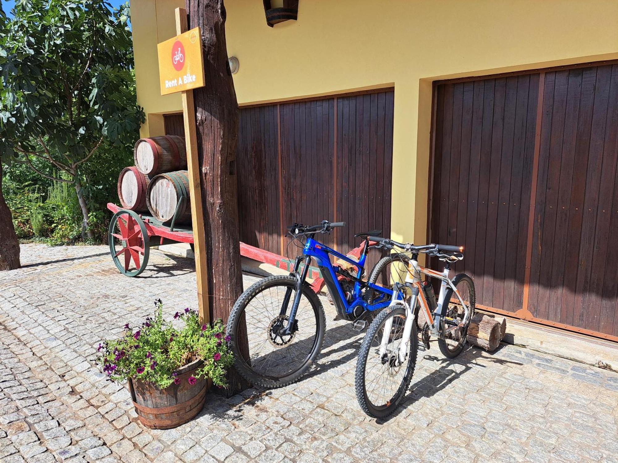 Quinta De Carcavelos Agroturismo E Enoturismo Celorico De Basto Esterno foto